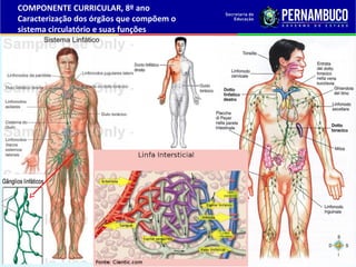 COMPONENTE CURRICULAR, 8º ano
Caracterização dos órgãos que compõem o
sistema circulatório e suas funções
 