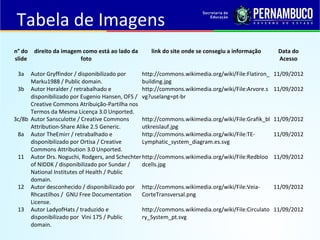 Tabela de Imagens
n° do
slide
direito da imagem como está ao lado da
foto
link do site onde se consegiu a informação Data ...