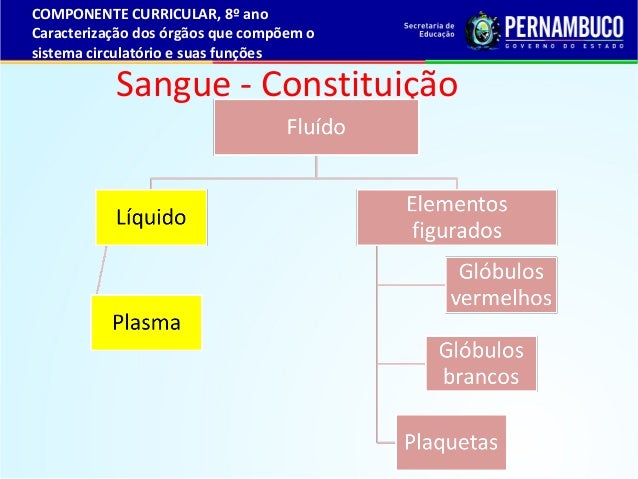 Sistema cardivascular Sistema cardivascular