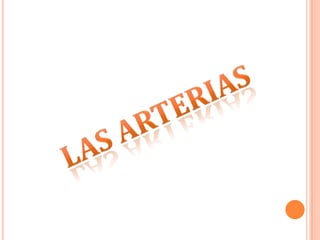 Las arterias