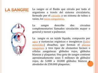 La sangre es el fluido que circula por todo el organismo a través del sistema circulatorio, formado por el corazón y un sistema de tubos o vasos, los vasos sanguíneos. La sangre describe dos circuitos complementarios llamados circulación mayor o general y menor o pulmonar.La  sangre es un tejido líquido, compuesto por agua y sustancias orgánicas e inorgánicas (sales minerales) disueltas, que forman el plasma sanguíneo y tres tipos de elementos formes o células sanguíneas: glóbulos rojos, glóbulos blancos y plaquetas. Una gota de sangre contiene aproximadamente unos 5 millones de glóbulos rojos, de 5.000 a 10.000 glóbulos blancos y alrededor de 250.000 plaquetas.La sangre