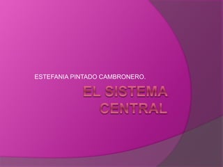 ESTEFANIA PINTADO CAMBRONERO.
 