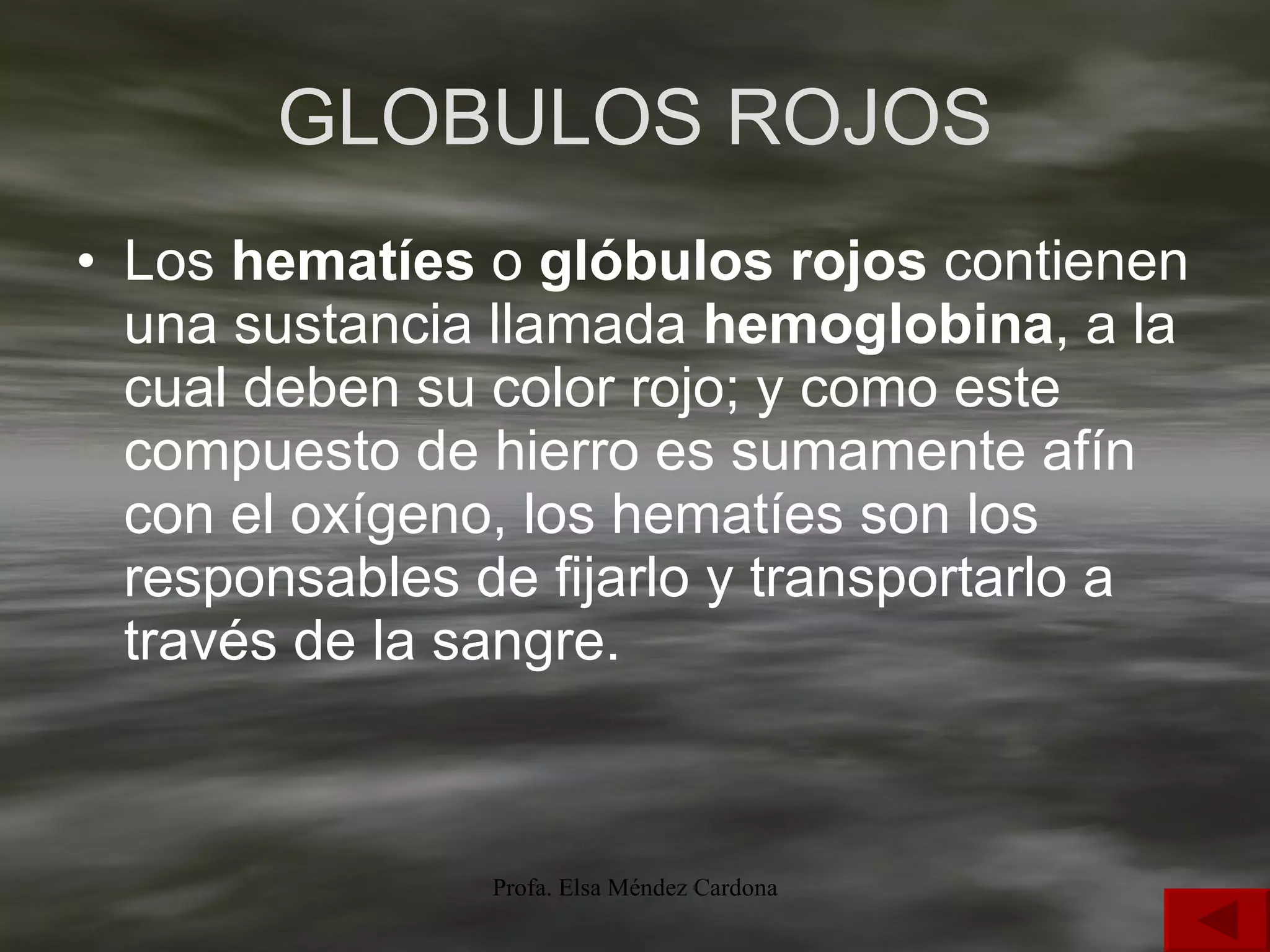 GLOBULOS ROJOS Los  hematíes  o  glóbulos rojos  contienen una sustancia llamada  hemoglobina , a la cual deben su color rojo; y como este compuesto de hierro es sumamente afín con el oxígeno, los hematíes son los responsables de fijarlo y transportarlo a través de la sangre. 
