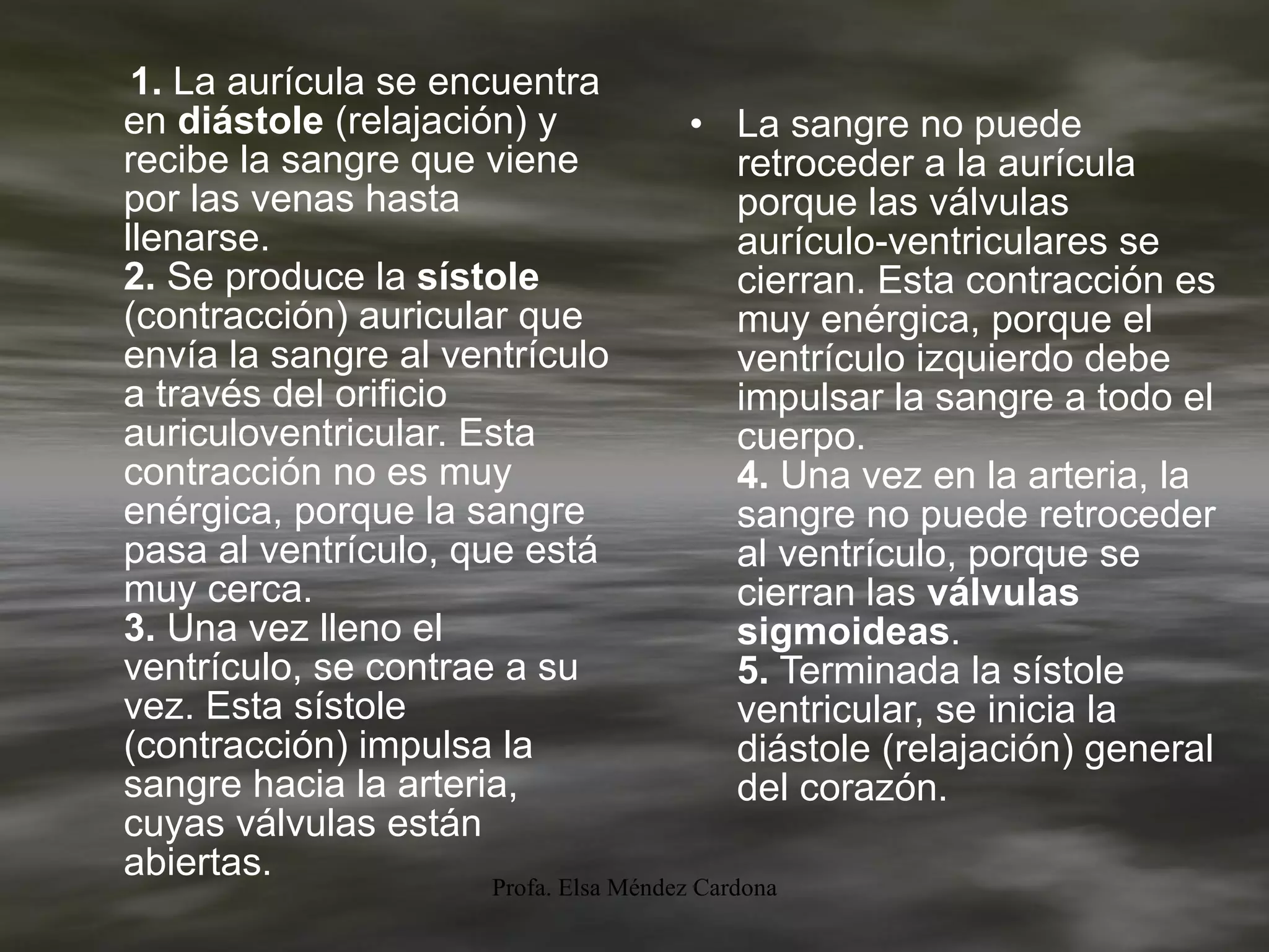 1.  La aurícula se encuentra en  diástole  (relajación) y recibe la sangre que viene por las venas hasta llenarse. 2.  Se produce la  sístole  (contracción) auricular que envía la sangre al ventrículo a través del orificio auriculoventricular. Esta contracción no es muy enérgica, porque la sangre pasa al ventrículo, que está muy cerca. 3.  Una vez lleno el ventrículo, se contrae a su vez. Esta sístole (contracción) impulsa la sangre hacia la arteria, cuyas válvulas están abiertas.  La sangre no puede retroceder a la aurícula porque las válvulas aurículo-ventriculares se cierran. Esta contracción es muy enérgica, porque el ventrículo izquierdo debe impulsar la sangre a todo el cuerpo. 4.  Una vez en la arteria, la sangre no puede retroceder al ventrículo, porque se cierran las  válvulas sigmoideas . 5.  Terminada la sístole ventricular, se inicia la diástole (relajación) general del corazón. 
