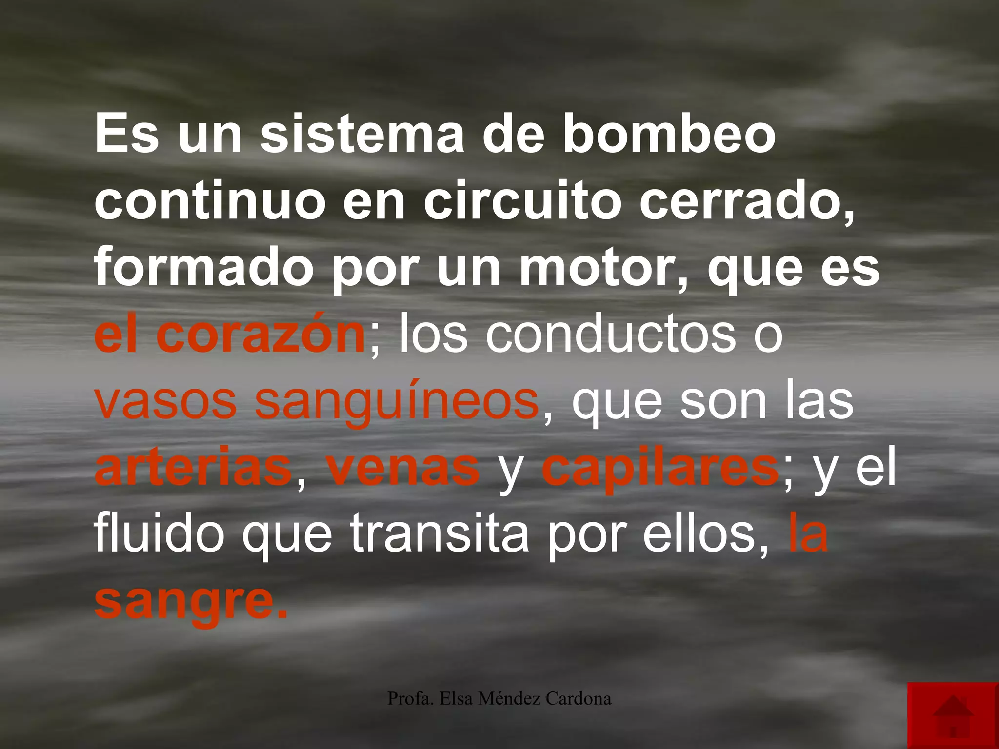 Es un sistema de bombeo continuo en circuito cerrado, formado por un motor, que es  el  corazón ; los conductos o  vasos   sanguíneos , que son las  arterias ,  venas  y   capilares ; y el fluido que transita por ellos,  la  sangre .  