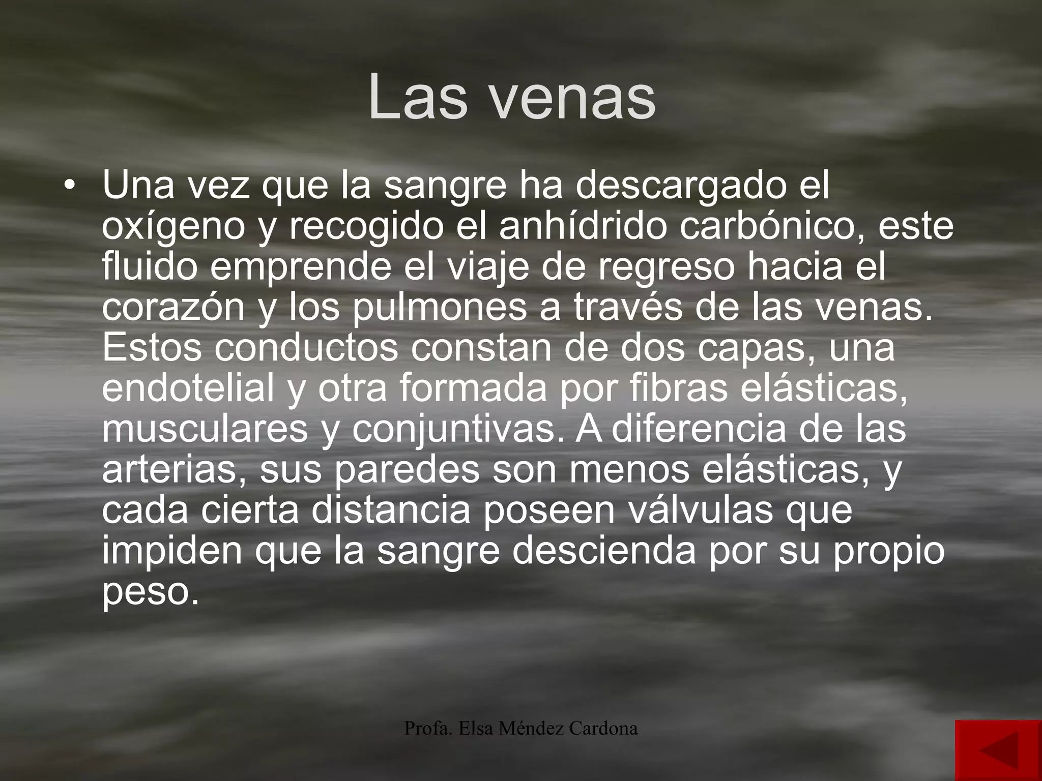 Las venas  Una vez que la sangre ha descargado el oxígeno y recogido el anhídrido carbónico, este fluido emprende el viaje de regreso hacia el corazón y los pulmones a través de las venas. Estos conductos constan de dos capas, una endotelial y otra formada por fibras elásticas, musculares y conjuntivas. A diferencia de las arterias, sus paredes son menos elásticas, y cada cierta distancia poseen válvulas que impiden que la sangre descienda por su propio peso. 