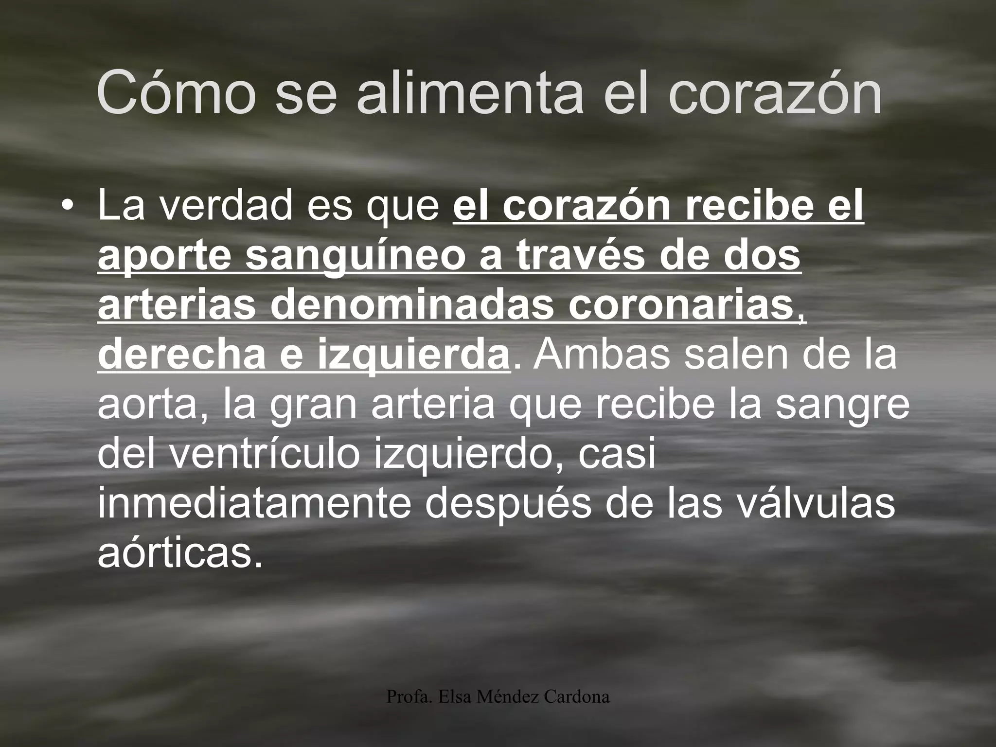 Cómo se alimenta el corazón  La verdad es que   el corazón recibe el aporte sanguíneo a través de dos arterias denominadas coronarias ,  derecha e izquierda . Ambas salen de la aorta, la gran arteria que recibe la sangre del ventrículo izquierdo, casi inmediatamente después de las válvulas aórticas. 