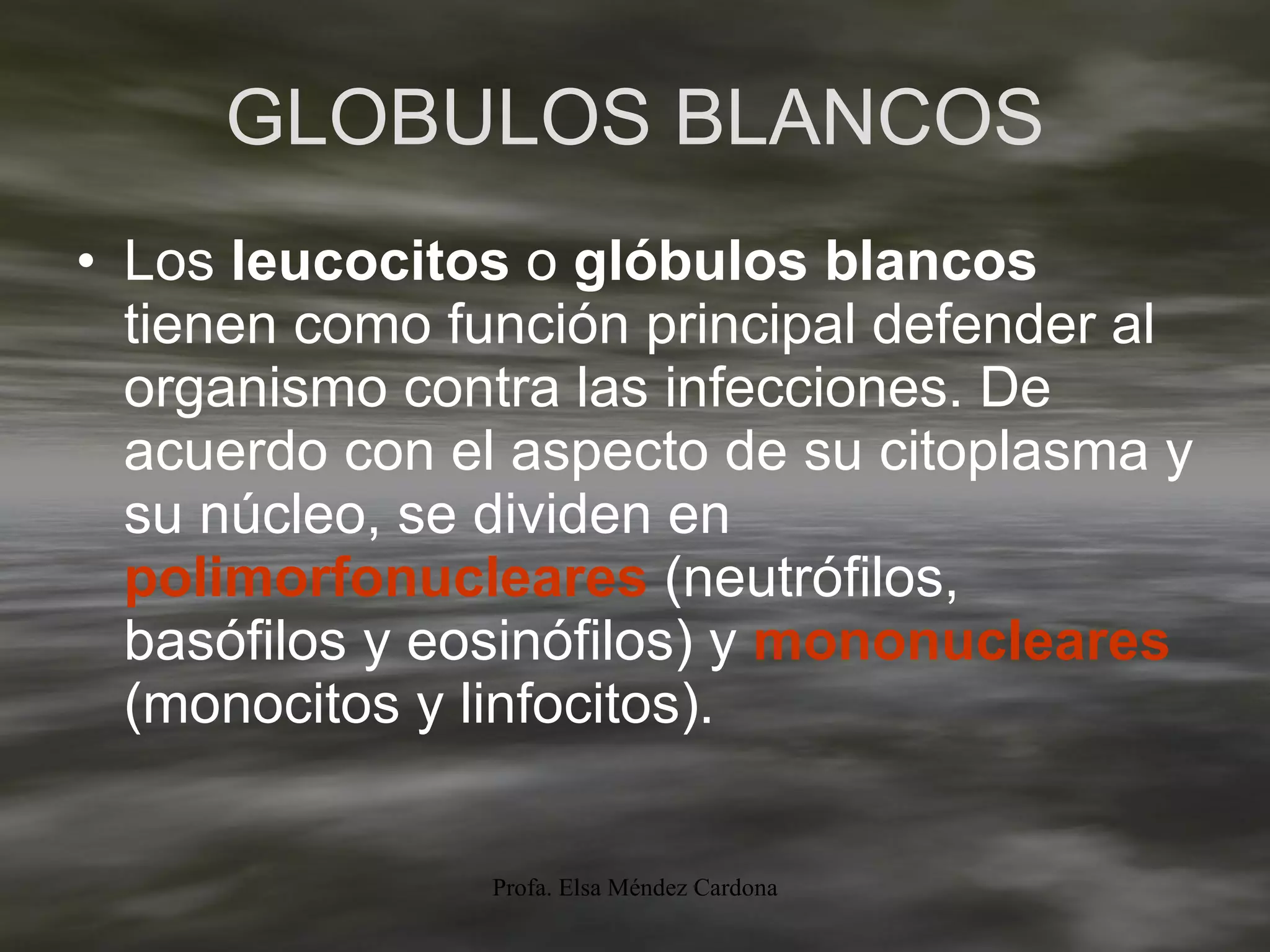 GLOBULOS BLANCOS Los  leucocitos  o  glóbulos blancos  tienen como función principal defender al organismo contra las infecciones. De acuerdo con el aspecto de su citoplasma y su núcleo, se dividen en  polimorfonucleares  (neutrófilos, basófilos y eosinófilos) y  mononucleares  (monocitos y linfocitos). 