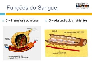 Defesa do organismoOs leucócitos produzem antitoxinas que anulam os venenos - toxinasFagocitose = Após atravessarem a parede dos vasos sanguíneos          (diapedese ), os glóbulos brancos aproximam-se dos micróbios, envolvem-nos com o corpo e destroem-nos.