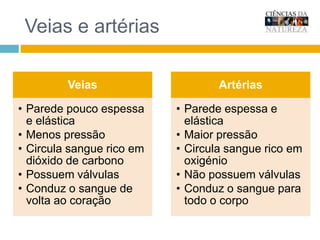 Coração1- Artéria aorta2- Artéria pulmonar3- Veias cavas (superior e inferior)4- Veia pulmonar5- Aurícula esquerda6- Ventrículo esquerdo7- Aurícula direita8- Ventrículo direito