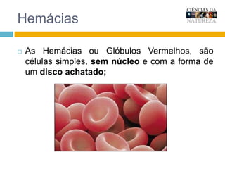 HemáciasAs Hemácias ou Glóbulos Vermelhos, são células simples, sem núcleo e com a forma de um disco achatado;