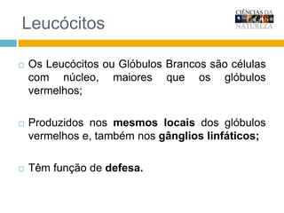 LeucócitosOs Leucócitos ou Glóbulos Brancos são células com núcleo, maiores que os glóbulos vermelhos;Produzidos nos mesmos locais dos glóbulos vermelhos e, também nos gânglios linfáticos;Têm função de defesa.