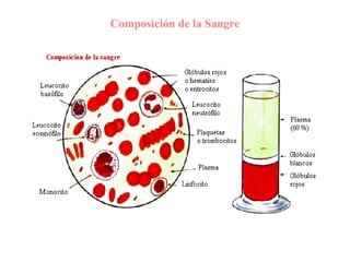 Composición de la Sangre 