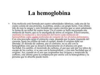 La hemoglobina   Esta molécula está formada por cuatro subunidades idénticas, cada una de las cuales consta de una proteína, la globina, unida a un grupo hemo. Este último tiñe de rojo la sangre y está formado por cuatro núcleos que se unen adoptando la forma de un trébol de cuatro hojas. En el centro se halla anexionada una molécula de hierro, que es la encargada de unirse al oxígeno. Efectivamente,  mediante la oxidación y desoxidación del hierro cada molécula de hemoglobina capta  cuatro  moléculas de oxígeno de los alvéolos pulmonares.  Con esta preciada carga el eritrocito viaja, pasando por la parte izquierda del corazón, hasta las células de todo el cuerpo, donde el oxígeno debe ser liberado. El dióxido de carbono, por el contrario, no se une con la hemoglobina sino que se disuelve directamente en el plasma con gran facilidad. En cambio, el monóxido de carbono, el gas que sale por los tubos de escape de los coches, sí se une con la hemoglobina, y con más facilidad que el oxígeno. Así, cuando en el aire que respiramos hay oxígeno y monóxido de carbono, este último gana la competición por unirse con la hemoglobina y la persona que lo absorbe puede morir.  