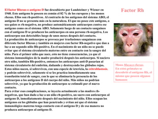Factor Rh El factor Rhesus o antígeno D   fue descubierto por Landsteiner y Wiener en 1940. Este antígeno lo poseen en común el 82 % de los europeos y los monos rhesus. Ellos son rh-positivos. Al contrario de los antígenos del sistema ABO, el antígeno D no se presenta más en la naturaleza. El que no posee este antígeno, o sea quien es rh-negativo, no produce automáticamente anticuerpos contra ese antígeno como en el sistema ABO. Solamente luego de un contacto sanguíneo con el antígeno D se producen los anticuerpos en una persona rh-negativa. Los anticuerpos son detectables luego de unos meses después del contacto.  La producción de anticuerpos se provoca por trasfusiones sanguíneas con diferente factor Rhesus y también en mujeres con factor Rh-negativo que dan a luz a un segundo niño Rh-positivo. En el nacimiento de un niño no se puede evitar que el sistema circulatorio materno entre en contacto con la sangre del niño. Para el primer niño que nace, esto no tiene consecuencias, ya que el sistema inmunológico de la madre producirá después los anticuerpos. Si naciera otro niño, también Rh-positivo, entonces los anticuerpos anti-D pasarían al sistema circulatorio del embrión, dañando y destruyendo los glóbulos rojos.  Estos niños nacen, si sobreviven, con una especie de ictericia, la   eritroblastosis ,  y podrán sobrevivir, solamente si se les practica inmediatamente una transfusión total de sangre, con lo que se eliminaría la presencia de los anticuerpos a los antígenos D del cuerpo del niño. Más niños no podrían sobrevivir, ya que la producción de anticuerpos se estimuló por el nuevo contacto. Para evitar esas complicaciones, se inyecta actualmente a las madres rh-negativas, que han dado a luz a un niño rh-positivo, un suero con anticuerpos al antígeno D, inmediatamente después del nacimiento del niño. Ellos ocupan los antígenos en los glóbulos que han penetrado y evitan así que el sistema inmunológico materno tenga contacto con el antígeno D y de esa manera no produzca anticuerpos al antígeno D.  Mono  Macaco rhesus .  En estos primates se descubrió el antígeno Rh, el mismo que poseen algunos humanos  