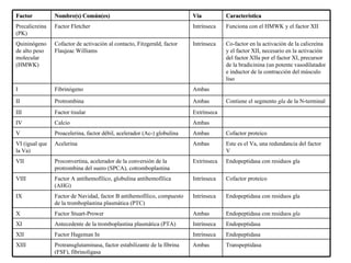 Transpeptidasa  Ambas Protransglutaminasa, factor estabilizante de la fibrina (FSF), fibrinoligasa  XIII Endopeptidasa  Intrínseca Factor Hageman In XII Endopeptidasa  Intrínseca Antecedente de la tromboplastina plasmática (PTA)  XI Endopeptidasa con residuos  gla   Ambas Factor Stuart-Prower  X Endopeptidasa con residuos gla Intrínseca Factor de Navidad, factor B antihemofílico, compuesto de la tromboplastina plasmática (PTC)  IX Cofactor proteico Intrínseca Factor A antihemofílico, globulina antihemofílica (AHG)  VIII Endopeptidasa con residuos gla Extrínseca Proconvertina, acelerador de la conversión de la protrombina del suero (SPCA), cotromboplastina  VII Este es el Va, una redundancia del factor V Ambas Acelerina VI (igual que la Va) Cofactor proteico Ambas Proacelerina, factor débil, acelerador (Ac-) globulina  V Ambas Calcio IV Extrínseca Factor tisular III Contiene el segmento  gla  de la N-terminal  Ambas Protrombina II Ambas Fibrinógeno I Co-factor en la activación de la calicreína y el factor XII, necesario en la activación del factor XIIa por el factor XI, precursor de la bradicinina (un potente vasodilatador e inductor de la contracción del músculo liso  Intrínseca Cofactor de activación al contacto, Fitzgerald, factor Flaujeac Williams Quininógeno de alto peso molecular (HMWK) Funciona con el HMWK y el factor XII Intrínseca Factor Fletcher Precalicreina (PK) Característica  Vía Nombre(s) Común(es) Factor  