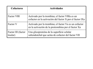 Una glicoproteína de la superficie celular subendotelial que actúa de cofactor del factor VII  Factor III (factor tisular)  Activado por la trombina; el factor Va es un cofactor en la activación de la protrombina por el factor Xa  Factor V  Activado por la trombina; el factor VIIIa es un cofactor en la activación del factor X por el factor IXa  Factor VIII  Actividades  Cofactores   