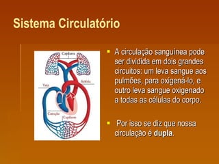 Sistema Circulatório A circulação sanguínea pode ser dividida em dois grandes circuitos: um leva sangue aos pulmões, para oxigená-lo, e outro leva sangue oxigenado a todas as células do corpo. Por isso se diz que nossa circulação é  dupla .  