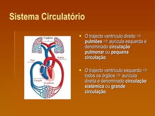 Sistema Circulatório O trajecto ventrículo direito     pulmões     aurícula esquerda é denominado  circulação pulmonar  ou  pequena circulação .  O trajecto ventrículo esquerdo    todos os órgãos    aurícula direita é denominado  circulação sistémica  ou  grande circulação .  
