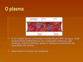 O plasma   É um líquido de cor amarelada constituído por 90% de água, onde se encontram dissolvidos ou em suspensão proteínas, sais minerais, outros nutrientes, gases e resíduos provenientes da actividade das células.  Desempenha funções de transporte  