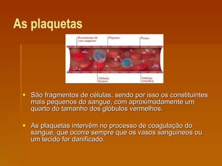 As plaquetas São fragmentos de células, sendo por isso os constituintes mais pequenos do sangue, com aproximadamente um quarto do tamanho dos glóbulos vermelhos.  As plaquetas intervêm no processo de coagulação do sangue, que ocorre sempre que os vasos sanguíneos ou um tecido for danificado. 