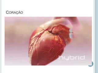 CORAÇÃO
 