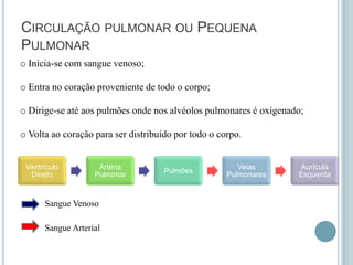 CIRCULAÇÃO PULMONAR OU PEQUENA
PULMONAR
o Inicia-se com sangue venoso;

o Entra no coração proveniente de todo o corpo;

o Dirige-se até aos pulmões onde nos alvéolos pulmonares é oxigenado;

o Volta ao coração para ser distribuído por todo o corpo.


 Ventrículo         Artéria                             Veias      Aurícula
                                     Pulmões
  Direito          Pulmonar                          Pulmonares    Esquerda


      Sangue Venoso

      Sangue Arterial
 