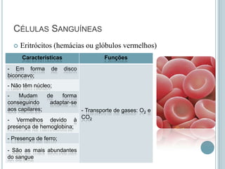 CÉLULAS SANGUÍNEAS
     Eritrócitos (hemácias ou glóbulos vermelhos)
      Características               Funções
- Em forma       de     disco
biconcavo;
- Não têm núcleo;
-   Mudam      de   forma
conseguindo     adaptar-se
aos capilares;             - Transporte de gases: O2 e
- Vermelhos devido à CO2
presença de hemoglobina;

- Presença de ferro;

- São as mais abundantes
do sangue
 