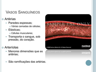 VASOS SANGUÍNEOS
   Artérias
       Paredes espessas;
           Várias camadas de células;
       Elásticas;
           Células musculares;
       Transporta o sangue, sob
        pressão, do coração.

   Arteríolas
       Menores dimensões que as
        artérias;

       São ramificações das artérias.
 