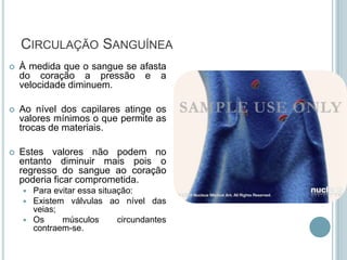 CIRCULAÇÃO SANGUÍNEA
   À medida que o sangue se afasta
    do coração a pressão e a
    velocidade diminuem.

   Ao nível dos capilares atinge os
    valores mínimos o que permite as
    trocas de materiais.

   Estes valores não podem no
    entanto diminuir mais pois o
    regresso do sangue ao coração
    poderia ficar comprometida.
     Para evitar essa situação:
     Existem válvulas ao nível das
      veias;
     Os     músculos       circundantes
      contraem-se.
 