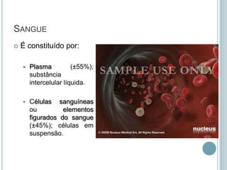 SANGUE
   É constituído por:

       Plasma          (±55%);
        substância
        intercelular líquida.

       Células sanguíneas
        ou         elementos
        figurados do sangue
        (±45%); células em
        suspensão.
 
