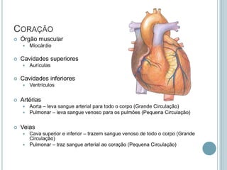 Células SanguíneasPlaquetas (trombocitos)