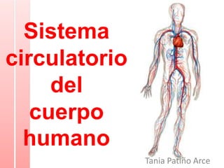 Sistema circulatorio delcuerpo humano Tania Patiño Arce 
