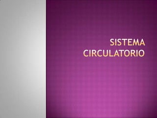 Sistema circulatorio 