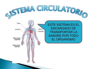 ESTE SISTEMA ES EL
ENCARGADO DE
TRANSPORTAR LA
SANGRE POR TODO
EL ORGANISMO
 