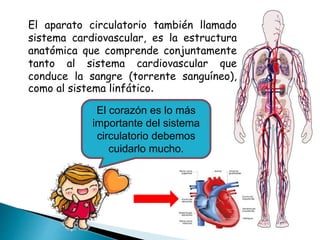 El corazón es lo más
importante del sistema
circulatorio debemos
cuidarlo mucho.
El aparato circulatorio también llamado
s...