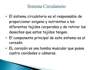Sistema Circulatorio
• El sistema circulatorio es el responsable de
proporcionar oxigeno y nutrientes a los
diferentes tej...