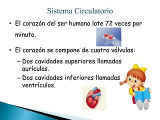 Sistema Circulatorio
• El corazón del ser humano late 72 veces por
minuto.
• El corazón se compone de cuatro válvulas:
– Dos cavidades superiores llamadas
aurículas.
– Dos cavidades inferiores llamadas
ventrículos.
 