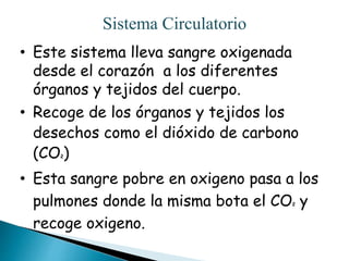 Sistema Circulatorio
• Este sistema lleva sangre oxigenada
desde el corazón a los diferentes
órganos y tejidos del cuerpo.
• Recoge de los órganos y tejidos los
desechos como el dióxido de carbono
(CO2)
• Esta sangre pobre en oxigeno pasa a los
pulmones donde la misma bota el CO2 y
recoge oxigeno.
 