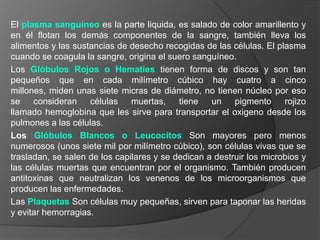 El plasma sanguíneo es la parte liquida, es salado de color amarillento y en él flotan los demás componentes de la sangre, también lleva los alimentos y las sustancias de desecho recogidas de las células. El plasma cuando se coagula la sangre, origina el suero sanguíneo.Los Glóbulos Rojos o Hematies tienen forma de discos y son tan pequeños que en cada milímetro cúbico hay cuatro a cinco millones, miden unas siete micras de diámetro, no tienen núcleo por eso se consideran células muertas, tiene un pigmento rojizo llamado hemoglobina que les sirve para transportar el oxigeno desde los pulmones a las células.Los Glóbulos Blancos o Leucocitos Son mayores pero menos numerosos (unos siete mil por milímetro cúbico), son células vivas que se trasladan, se salen de los capilares y se dedican a destruir los microbios y las células muertas que encuentran por el organismo. También producen antitoxinas que neutralizan los venenos de los microorganismos que producen las enfermedades.Las Plaquetas Son células muy pequeñas, sirven para taponar las heridas y evitar hemorragias.