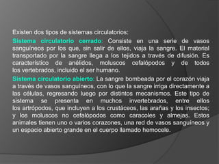 Existen dos tipos de sistemas circulatorios:Sistema circulatorio cerrado: Consiste en una serie de vasos sanguíneos por los que, sin salir de ellos, viaja la sangre. El material transportado por la sangre llega a los tejidos a través de difusión. Es característico de anélidos, moluscos cefalópodos y de todos los vertebrados, incluido el ser humano.Sistema circulatorio abierto: La sangre bombeada por el corazón viaja a través de vasos sanguíneos, con lo que la sangre irriga directamente a las células, regresando luego por distintos mecanismos. Este tipo de sistema se presenta en muchos invertebrados, entre ellos los artrópodos, que incluyen a los crustáceos, las arañas y los insectos; y los moluscos no cefalópodos como caracoles y almejas. Estos animales tienen uno o varios corazones, una red de vasos sanguíneos y un espacio abierto grande en el cuerpo llamado hemocele.