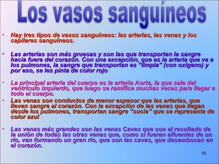 Hay tres tipos de vasos sanguíneos: las arterias, las venas y los capilares sanguíneos. Las arterias son más gruesas y son las que transportan la sangre hacia fuera del corazón. Con una excepción, que es la arteria que va a los pulmones, la sangre que transportan es “limpia” (con oxígeno) y por eso, se les pinta de color rojo La principal arteria del cuerpo es la arteria Aorta, la que sale del ventrículo izquierdo, que luego se ramifica muchas veces para llegar a todo el cuerpo. Las venas son conductos de menor espesor que las arterias, que llevan sangre al corazón. Con la excepción de las venas que llegan desde los pulmones, transportan sangre “sucia” que se representa de color azul Las venas más grandes son las venas Cavas que son el resultado de la unión de todas las otras venas que, como si fueran afluentes de un río, van formando un gran río, que son las cavas, que desembocan en el corazón.   