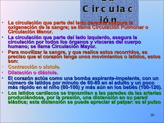 La Circulación La circulación que parte del lado derecho asegura la oxigenación de la sangre; se llama Circulación Pulmonar o Circulación Menor. La circulación que parte del lado izquierdo, asegura la circulación por todos los órganos y vísceras del cuerpo humano; se llama Circulación Mayor. Para movilizar la sangre, y que realice estos recorridos, es preciso que el corazón tenga unos movimientos o latidos, estos son: Contracción o sístole.  Dilatación o diástole.  El corazón actúa como una bomba aspirante-impelente, con un número de latidos por minuto de 60-80 en el adulto y un poco más rápido en el niño (80-100) y más aún en los bebés (100-120). Los latidos cardíacos se transmiten a las paredes de las arterias produciéndose, por la presión, una distensión en su pared elástica; esta distensión se puede apreciar al palpar: es el pulso 