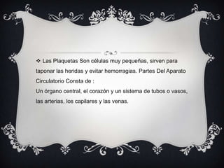 Las Plaquetas Son células muy pequeñas, sirven para taponar las heridas y evitar hemorragias. Partes Del Aparato Circulatorio Consta de :Un órgano central, el corazón y un sistema de tubos o vasos, las arterias, los capilares y las venas.