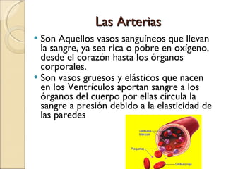 Las Arterias Son Aquellos vasos sanguíneos que llevan la sangre, ya sea rica o pobre en oxígeno, desde el corazón hasta los órganos corporales.  Son vasos gruesos y elásticos que nacen en los Ventrículos aportan sangre a los órganos del cuerpo por ellas circula la sangre a presión debido a la elasticidad de las paredes 