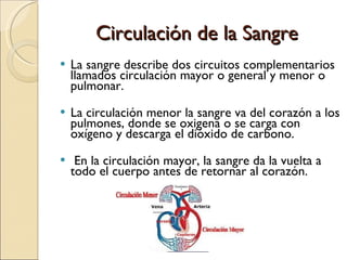 Circulación de la Sangre La sangre describe dos circuitos complementarios llamados circulación mayor o general y menor o pulmonar.  La circulación menor la sangre va del corazón a los pulmones, donde se oxigena o se carga con oxígeno y descarga el dióxido de carbono. En la circulación mayor, la sangre da la vuelta a todo el cuerpo antes de retornar al corazón.  