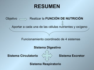 RESUMEN

Objetivo        Realizar la FUNCIÓN DE NUTRICIÓN

    Aportar a cada una de las células nutrientes y oxígeno


           Funcionamiento coordinado de 4 sistemas

                   Sistema Digestivo

 Sistema Circulatorio                Sistema Excretor

                Sistema Respiratorio
 