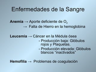 Enfermedades de la Sangre
Anemia → Aporte deficiente de O2
      → Falta de Hierro en la hemoglobina

Leucemia → Cáncer en la Médula ósea
             - Producción baja: Glóbulos
               rojos y Plaquetas.
             - Producción elevada: Glóbulos
               blancos “inactivados”

Hemofilia → Problemas de coagulación
 