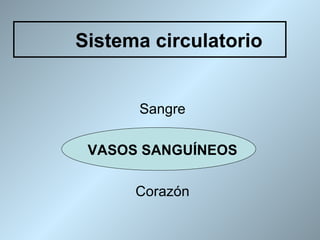 Sistema circulatorio


      Sangre

 VASOS SANGUÍNEOS

      Corazón
 