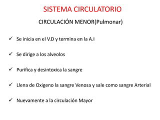 SISTEMA CIRCULATORIO
              CIRCULACIÓN MENOR(Pulmonar)

 Se inicia en el V.D y termina en la A.I

 Se dirige a los alveolos

 Purifica y desintoxica la sangre

 Llena de Oxigeno la sangre Venosa y sale como sangre Arterial

 Nuevamente a la circulación Mayor
 